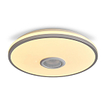 Потолочный светильник Freya FR6226CL-L36W 250_100_Array